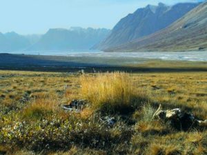 Гренландия зеленая страна фото